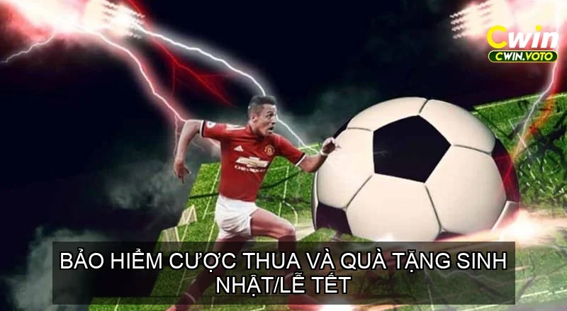 Bảo Hiểm Cược Thua và Quà Tặng Sinh Nhật/Lễ Tết